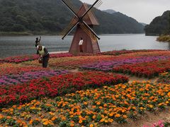 -广州市石门国家森林公园