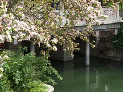 -济南大明湖景区