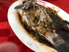 -先鲜鲫鱼粥