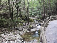 -牛背梁国家森林公园