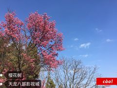 -天龙八部武侠城