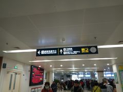 -首都医科大学附属北京潞河医院