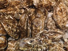 -老虎滩船说·海胆水饺·大连海鲜(老虎滩店)