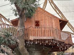 -杭州开元森泊度假乐园