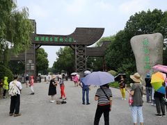 景点-溱湖国家湿地公园