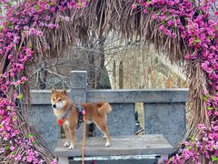 -唐山尚禾源旅游景区