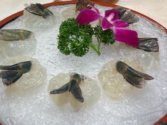 -沙龙酒家