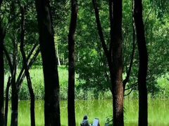 -大兴滨河森林公园