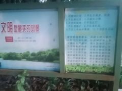 -光明港公园
