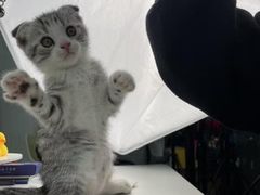 -一心一味(向西店)