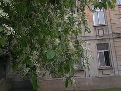 -辽宁大学(崇山校区)