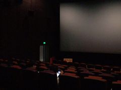 -金逸影城(中关村店)