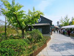 -渡海小渔村.老辈日照菜