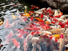 -聚福宝合苑食府(南头镇店)