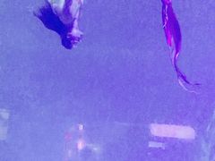 -常州海昌海洋探索馆
