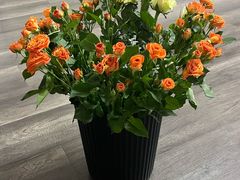 -循礼门鲜花花市(武汉循礼门店)