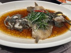 -骏莱海鲜鱼港(五角场店)