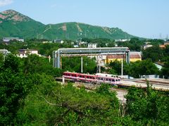 -白水寺森林公园