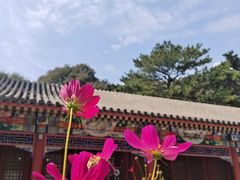 -红螺寺