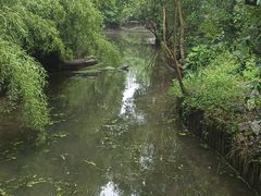 -上海滨江森林公园