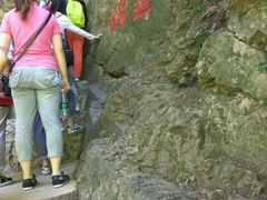 -天女山森林公园