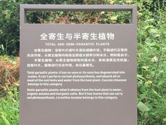 -云丘山景区