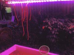 -华声天桥民俗文化园