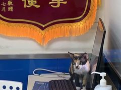 -宠福鑫动物医院(立水桥分院)