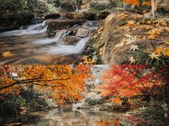 -中国茶叶博物馆(双峰馆区)