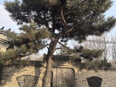 -爱新觉罗皇家博物院