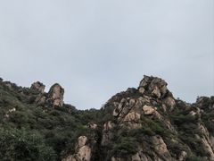 -大岭沟猕猴桃谷风景区