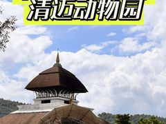 -清迈夜间动物园