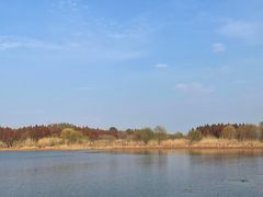 -溱湖国家湿地公园