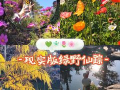 -云溪植物园