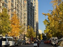 -紫金山山顶公园