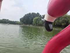 -朝阳公园游乐园