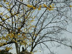 -徐州汉画像石艺术馆