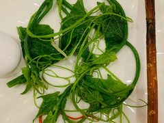 清炒南瓜尖儿-巴依老爷新疆美食(工体旗舰店)