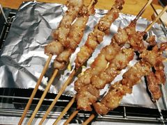 -那些年记忆烧烤