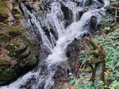 -莫里热带雨林景区