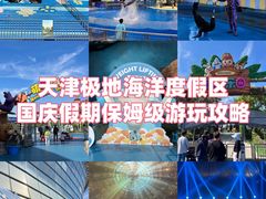 -海合安天津极地海洋公园