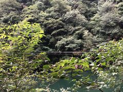 -浙西大龙湾
