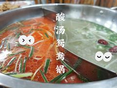 -苗伯妈酸汤火锅