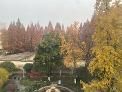 -南京中国近代史遗址博物馆(南京总统府)