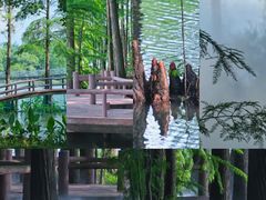 -东湖落雁景区