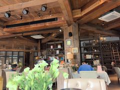 -一棵树·意大利西餐厅One Tree(新城店)