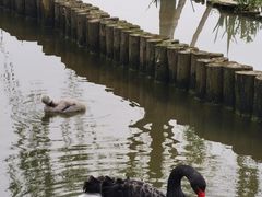 -武汉动物园