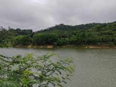 -凤岗南门山森林公园