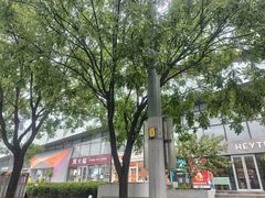 -远洋未来汇