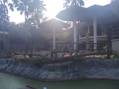 -清迈夜间动物园